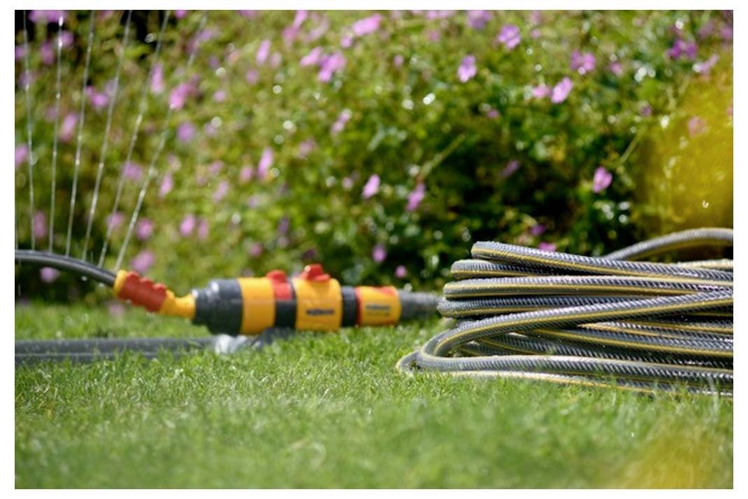 Ein Gartenschlauch, der an einen orangefarbenen Sprinkler angeschlossen ist, bewässert grünes Gras vor einem unscharfen Hintergrund aus rosa Blüten und Blattwerk.