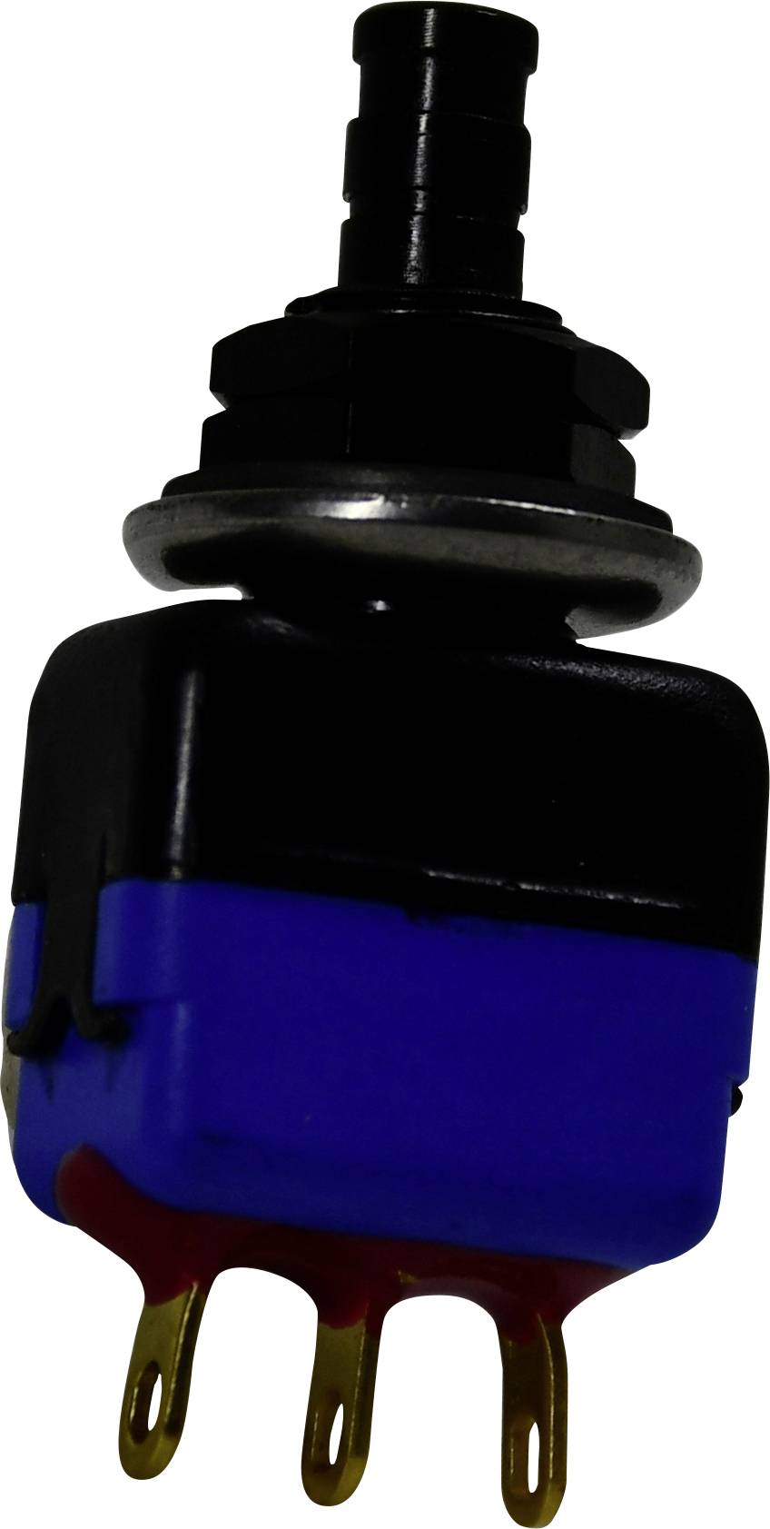 Ein blau-schwarzer Kippschalter mit drei goldenen Stiften wird vor weißem Hintergrund gezeigt.