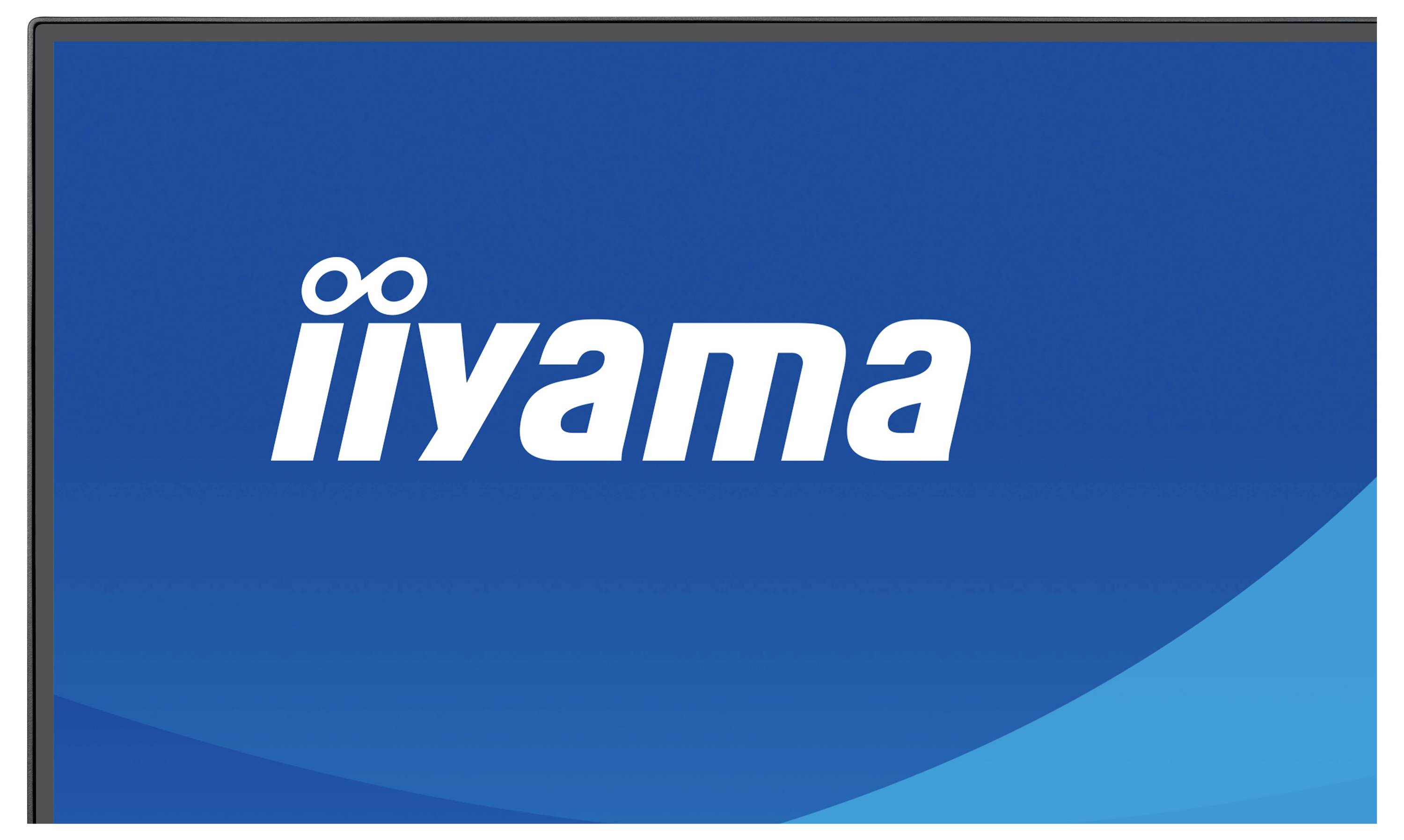 Das Bild zeigt das Logo von „iiyama
