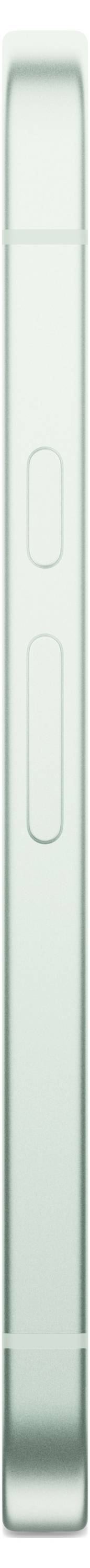 Ein vertikaler hellgrüner Teststreifen mit zwei rechteckigen Fenstern, die übereinander angeordnet sind.