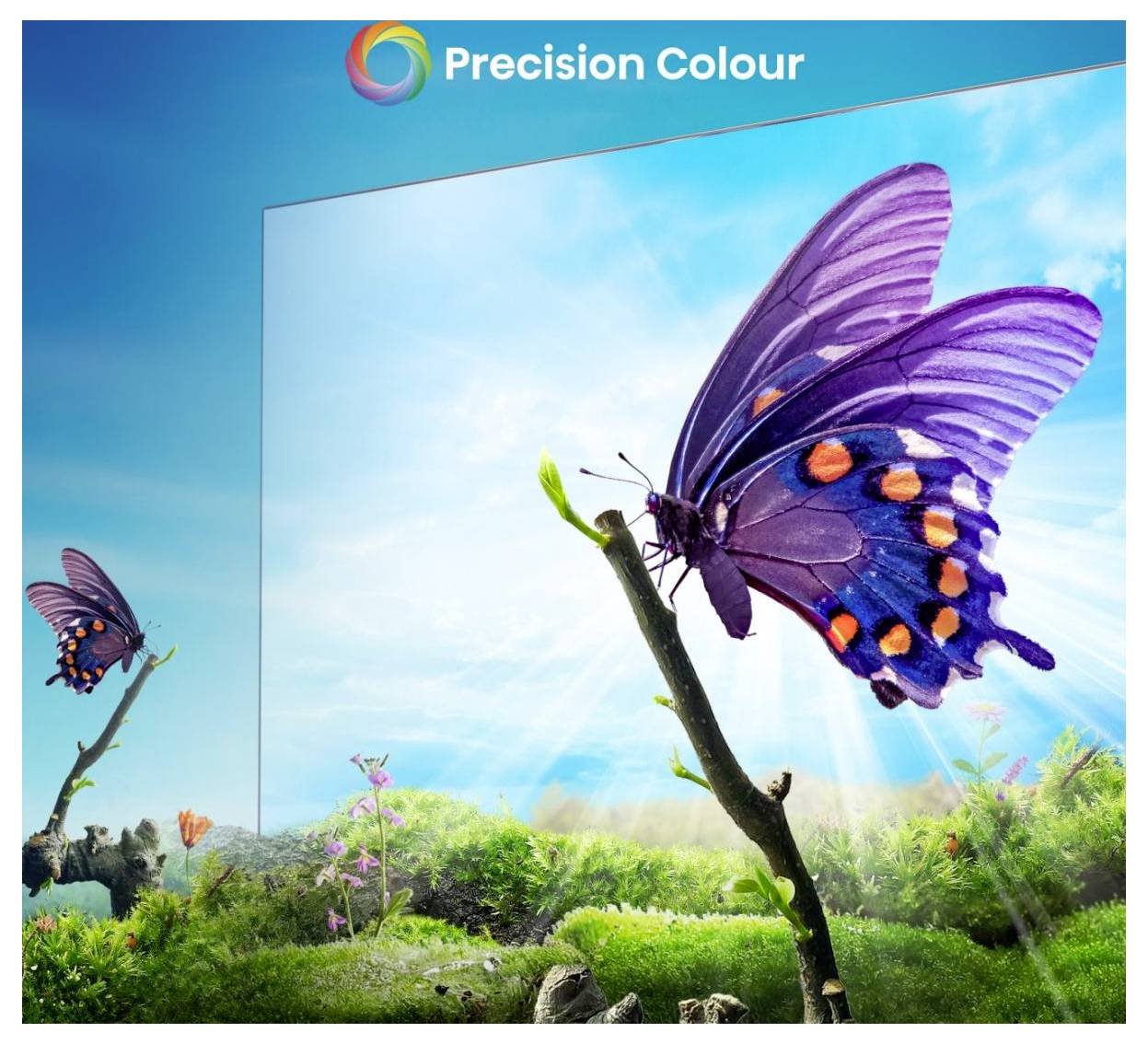 Ein lebhafter purpurner Schmetterling mit orangefarbenen Flecken ruht auf einem Zweig in einer sonnigen, grasbewachsenen Landschaft unter dem Logo „Precision Colour