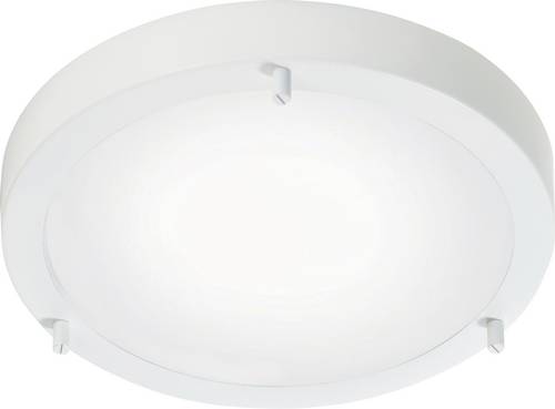 ANCONA Maxi Nordlux Ceiling Light White 2xE27 IP44
