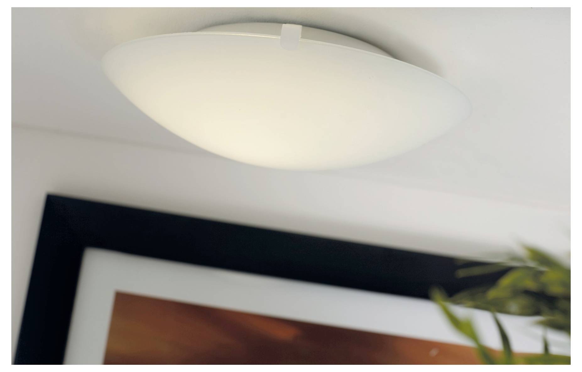 Eine an der Decke montierte, kuppelförmige Leuchte erleuchtet den Raum sanft und hebt dabei einen Teil eines gerahmten Bildes und die Blätter einer nahe gelegenen Pflanze hervor.