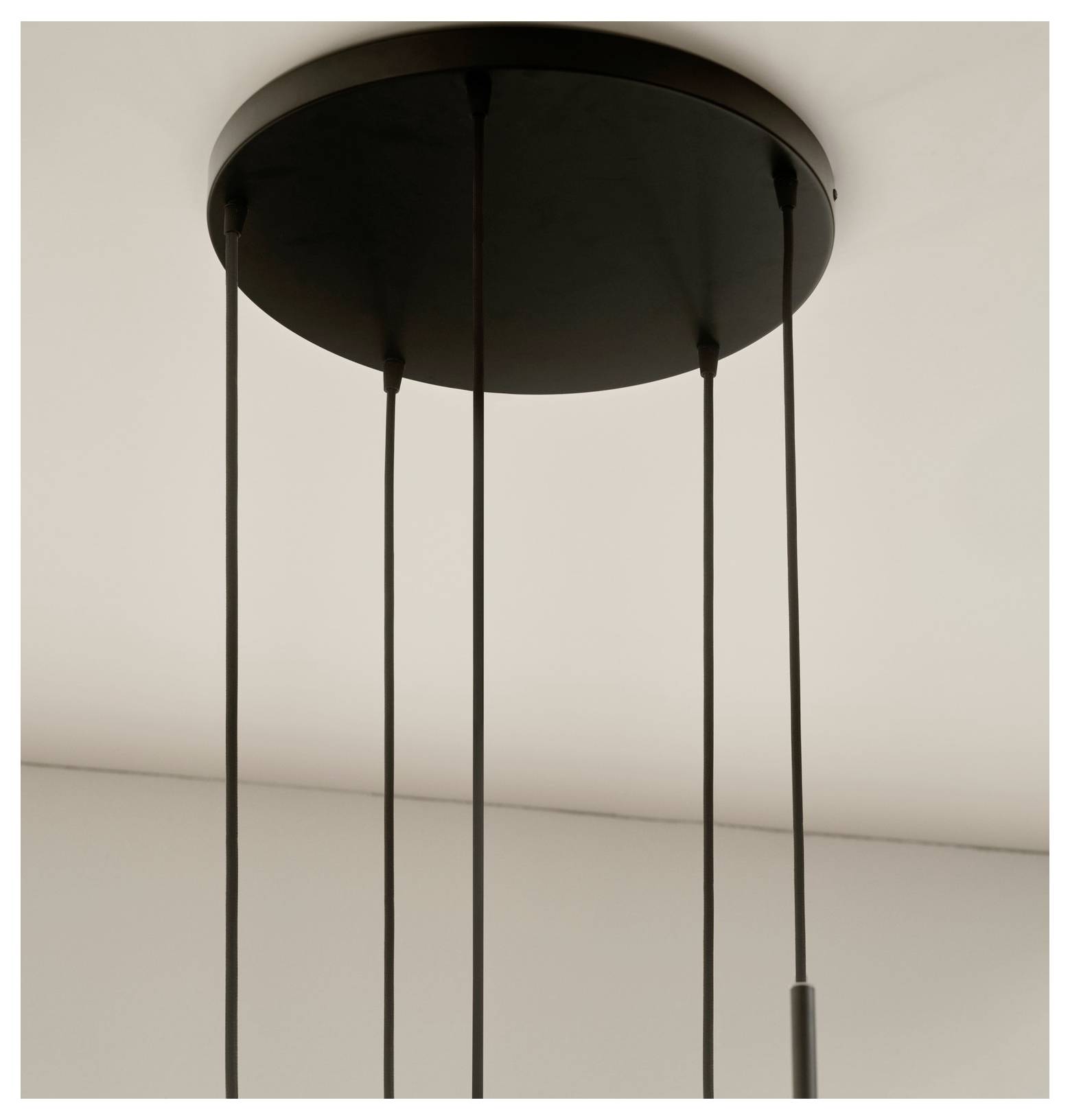 Schwarze Pendelleuchte mit mehreren Schnüren, die sich von einer kreisförmigen Deckenhalterung erstrecken.