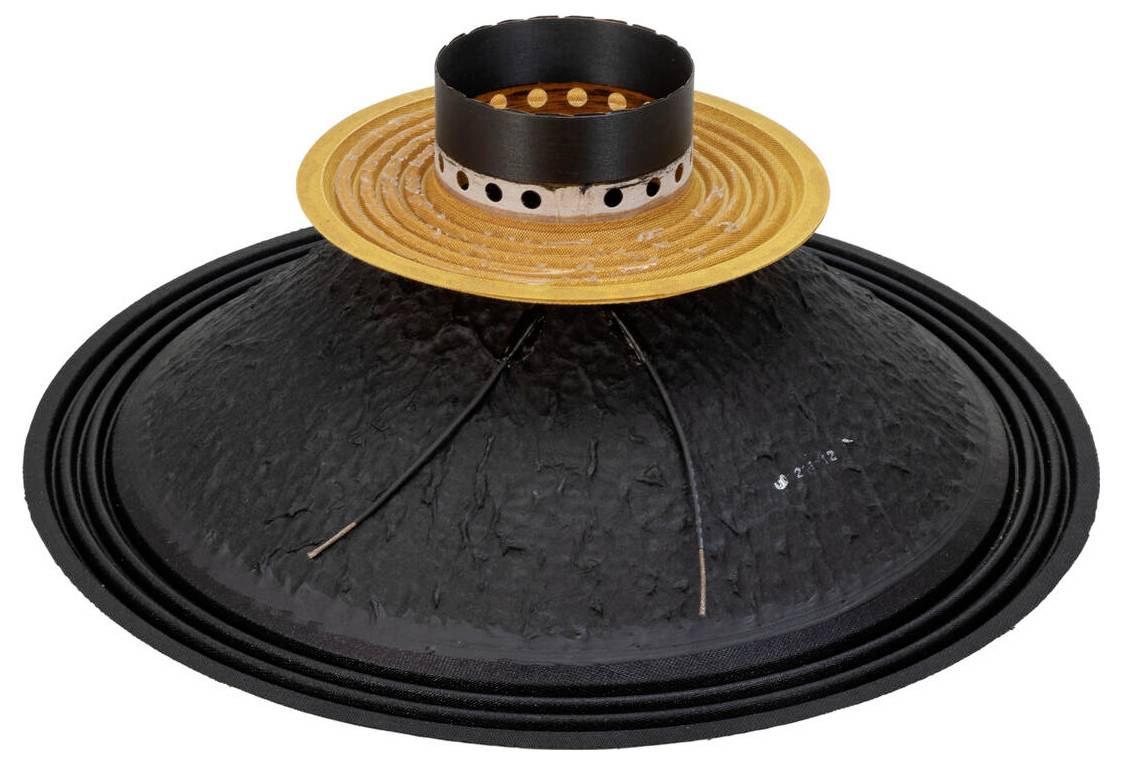 Ein schwarz-gelber Lautsprecher-Konus mit strukturierter Oberfläche, der den äußeren Rand und das zentrale kreisförmige Element mit perforiertem Band zeigt.