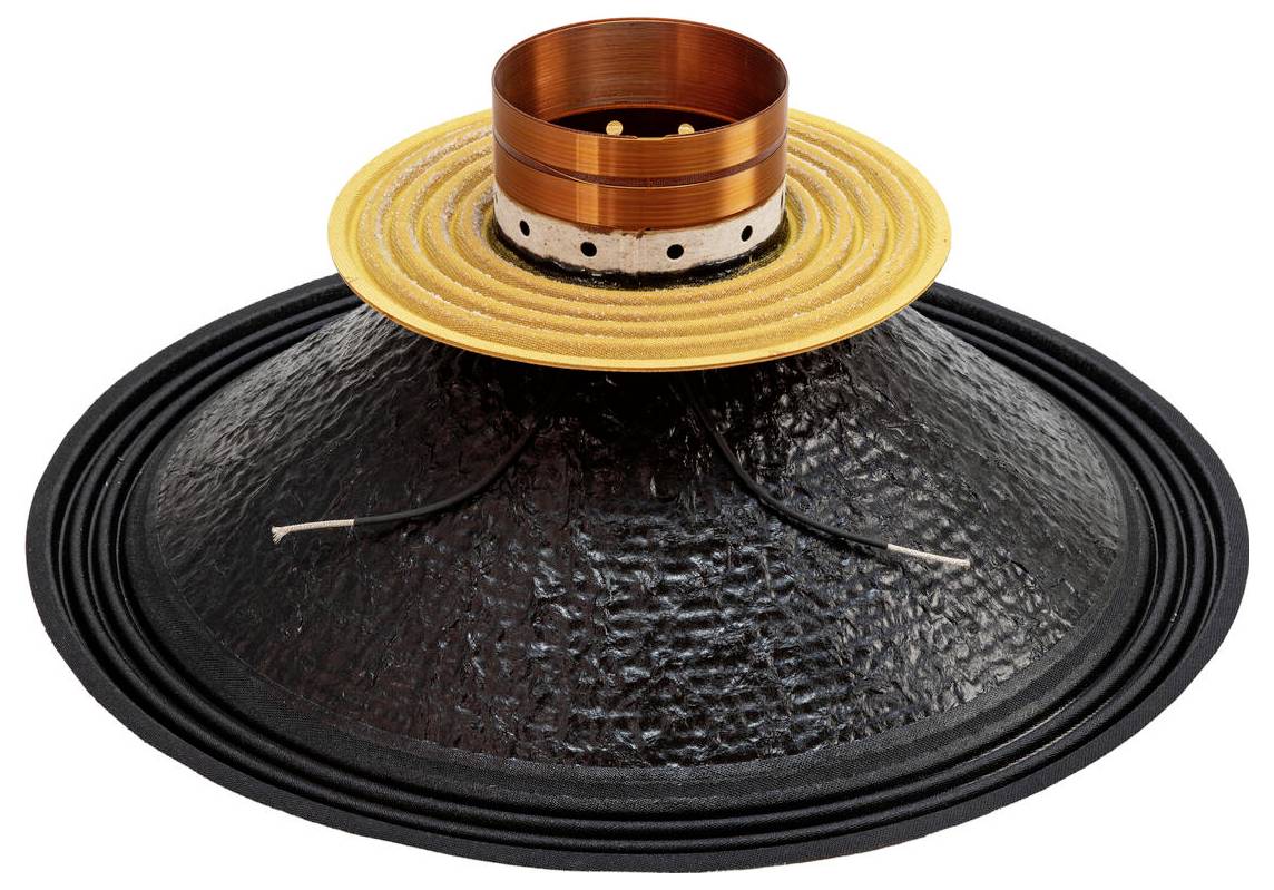 Metallischer Lautsprecherkegel mit Kupferspule und schwarzer Gummisurroundierung, verwendet in Audiolautsprechern zur Soundverstärkung.