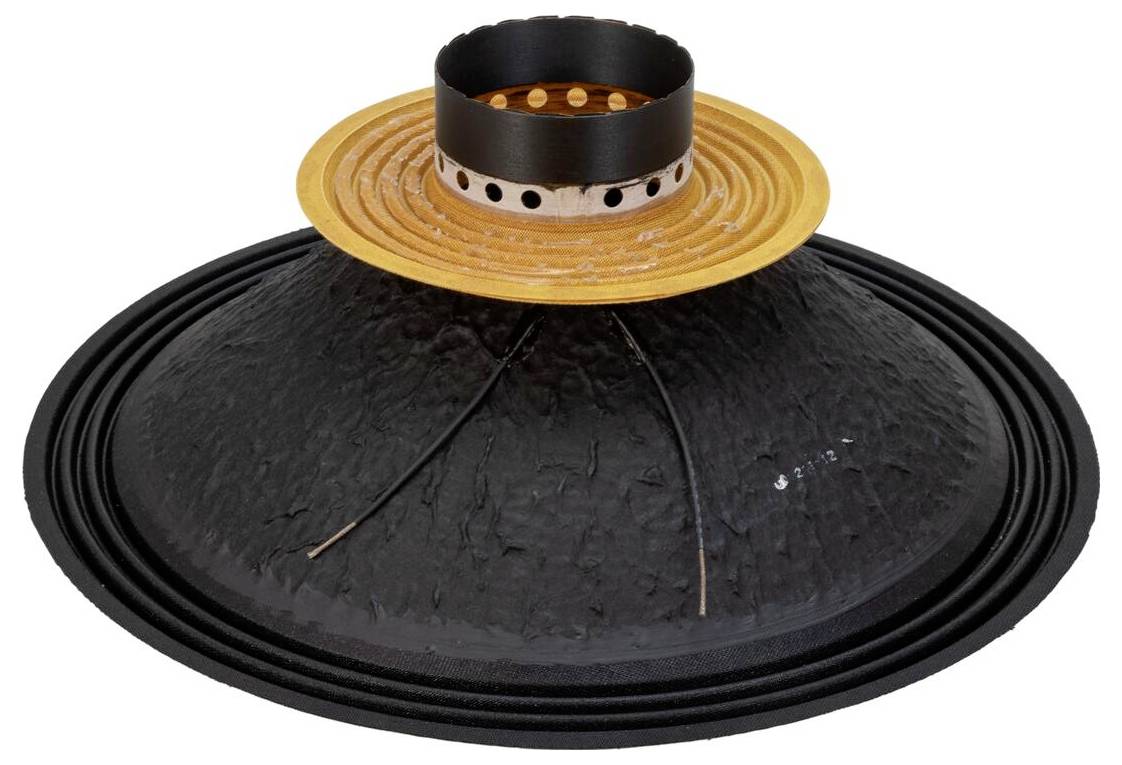 Eine Nahaufnahme eines großen schwarzen Lautsprechercones mit gewelltem Rand, die den zentralen kreisförmigen gelben Bereich und die angebrachte runde schwarze Komponente zeigt.