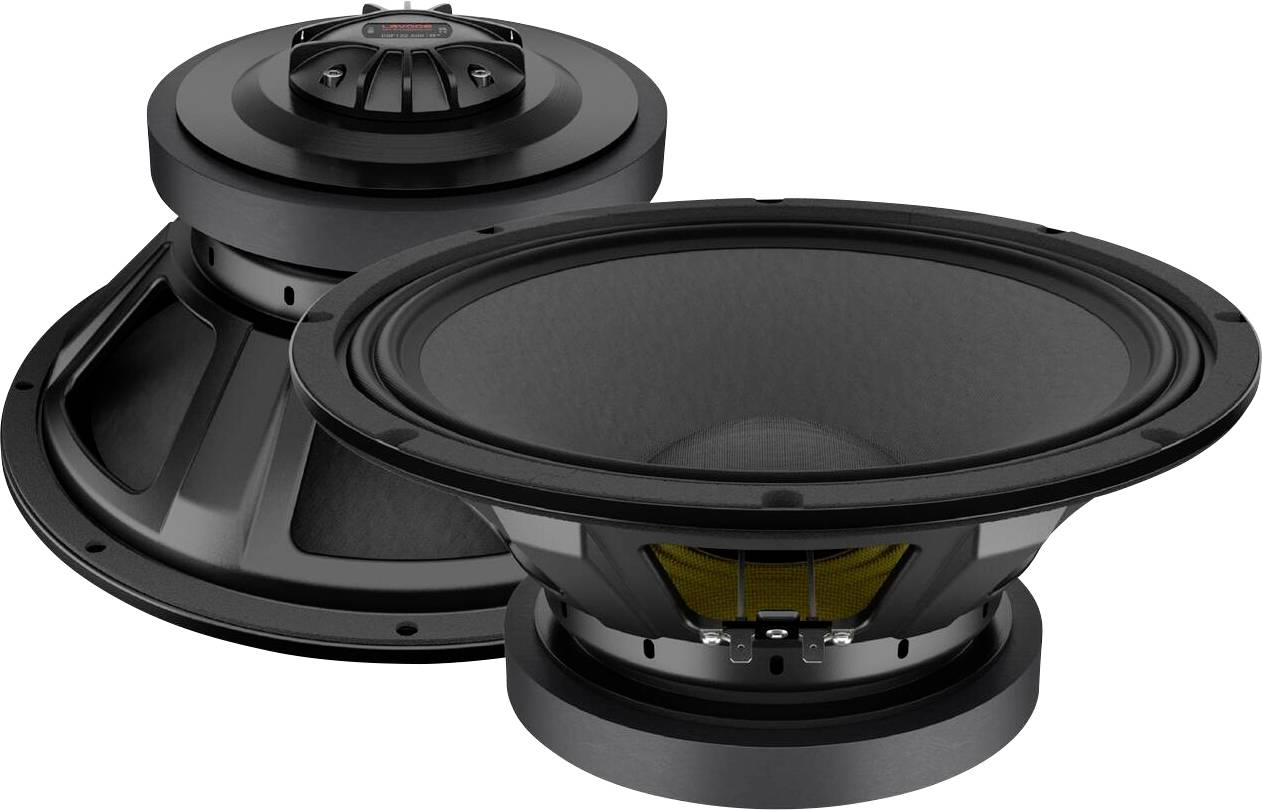 Zwei große schwarze Subwoofer-Lautsprecher mit kegelförmiger Membran und Metallrahmen, entwickelt für tiefe Bassreproduktion in Audiosystemen.