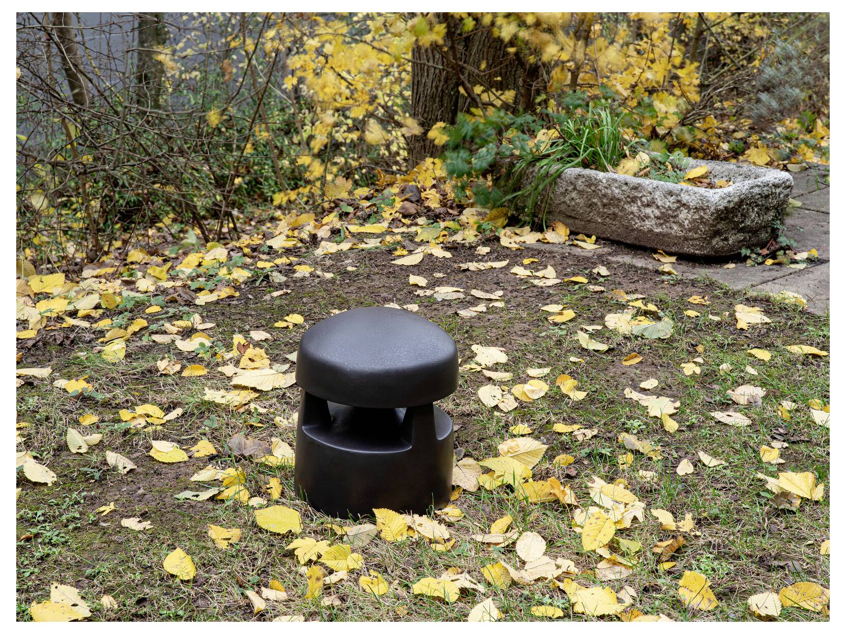 Ein kleiner schwarzer Hocker sitzt auf einem Grasstück, umgeben von gefallenen gelben Blättern, in einer Gartenanlage mit einem steineren Pflanzgefäß in der Nähe.