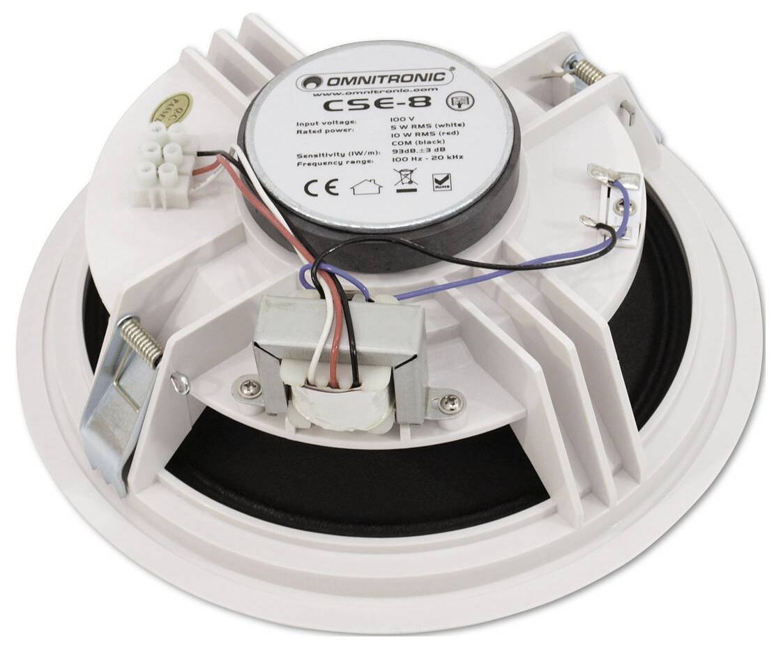 Eine runde Metallaudikomponente mit abgedecktem schwarzem Mittelteil, die in Lautsprechersystemen zur Soundausgabe verwendet wird.