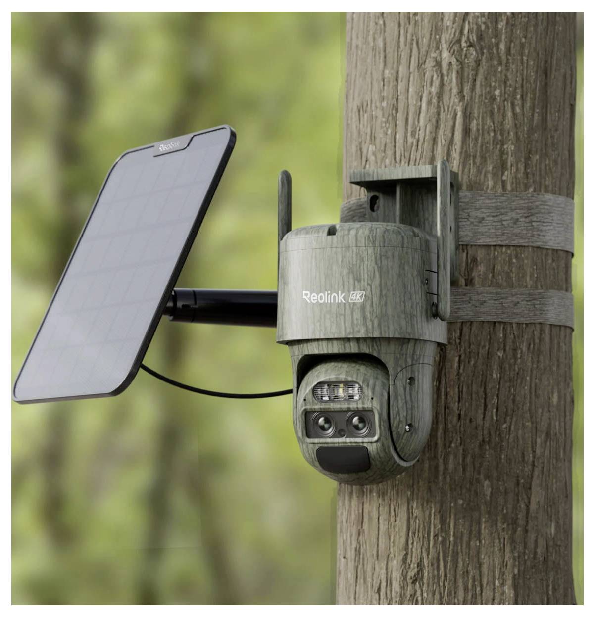 Eine Wildkamera mit einem an einem Baum befestigten Solarpanel, konzipiert für die Außenüberwachung und ferngesteuerte Videoaufzeichnung durch Solarenergie.