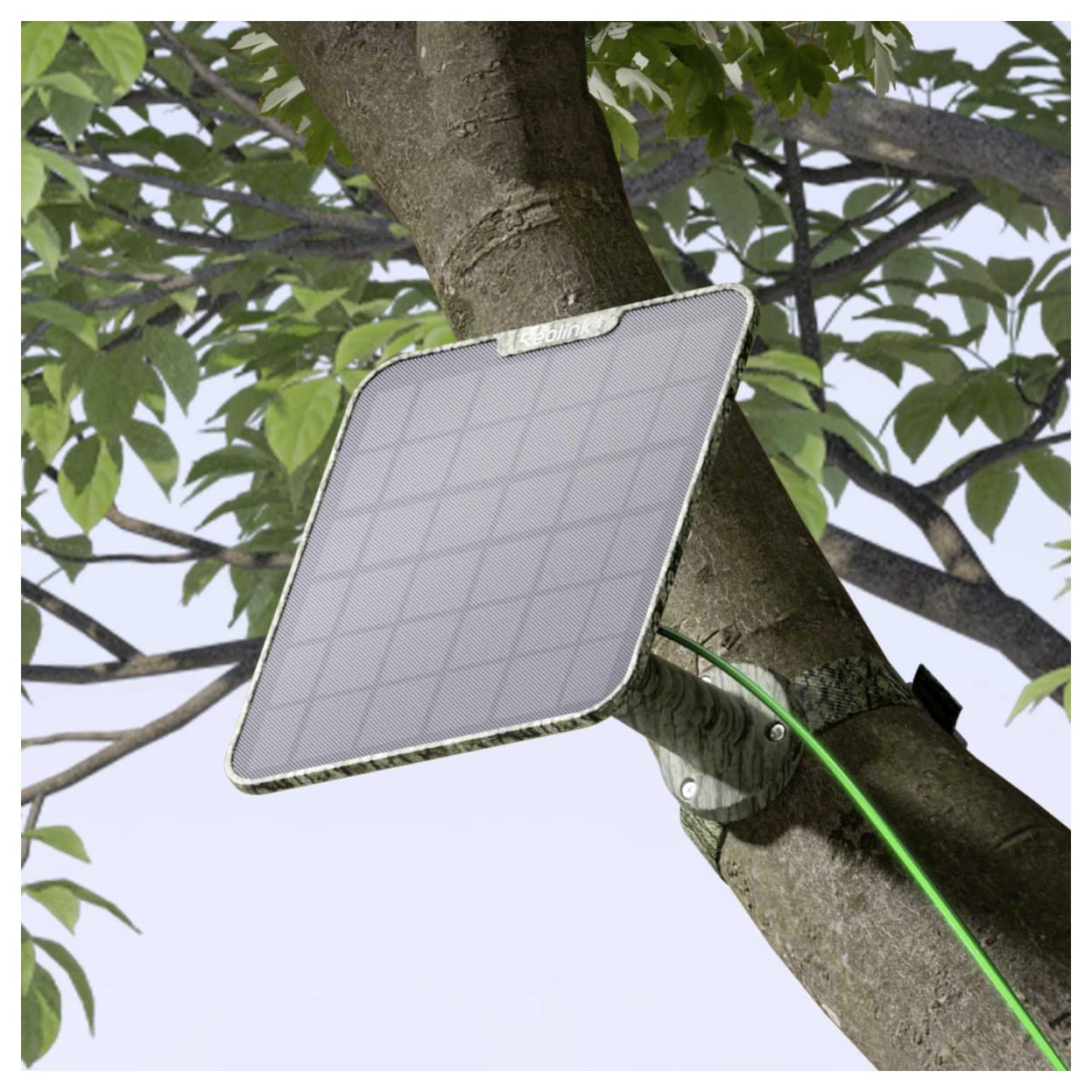 Ein Solarpanel ist auf einem Baumast montiert, mit einem grünen Draht daran angeschlossen, umgeben von grünen Blättern im Tageslicht.