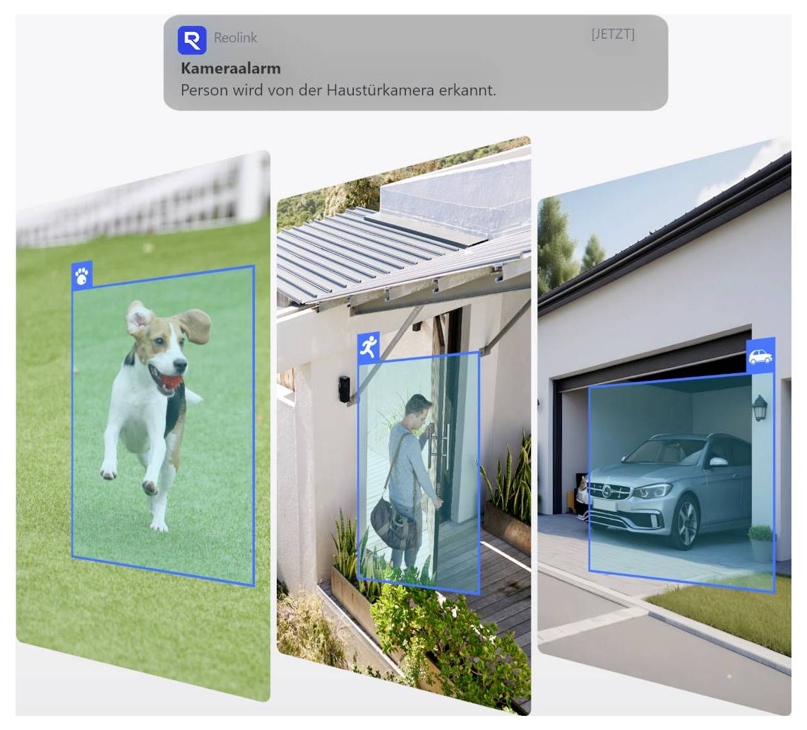 'Kameraalarm: Person wird von der Haustürkamera erkannt.' Bilder zeigen Hund beim Rennen, Person betritt Haus, Auto in Garage.