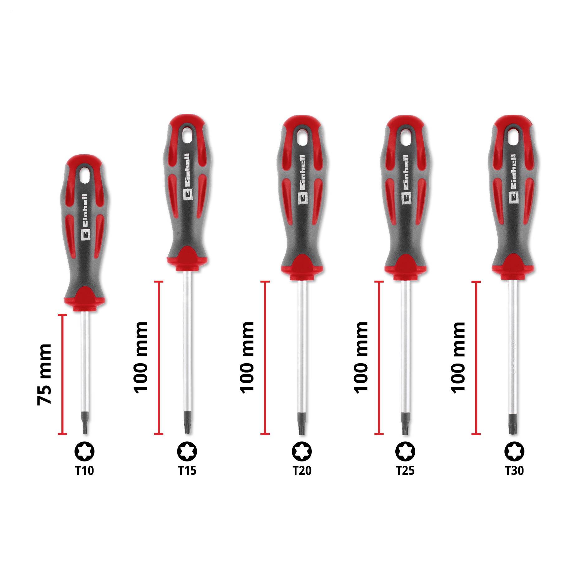 Fünf Schraubendreher mit den Bezeichnungen T10, T15, T20, T25 und T30 mit Längenkennzeichnungen von 75 mm und 100 mm.