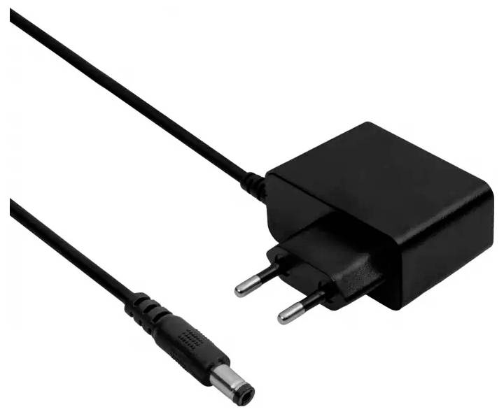 Ein schwarzer Stecker-Netzteil mit einem zweipoligen Stecker und einem Kabel, das zu einem Anschluss führt.