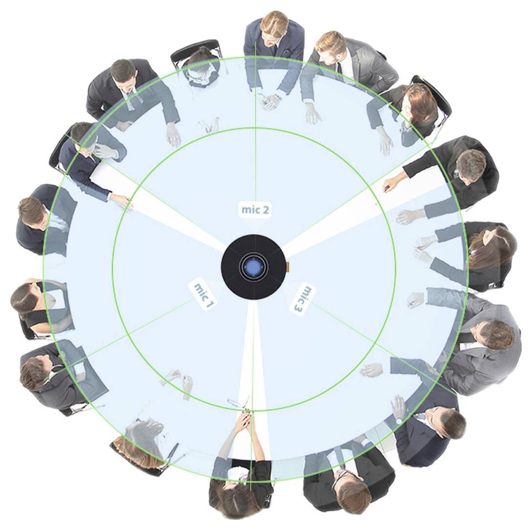 Draufsicht eines Treffens mit 12 Personen, die im Kreis sitzen und diskutieren. Die zentrale Überlagerung zeigt die Mikrofonverteilung mit Segmenten für Mikrofon 1, 2 und 3.