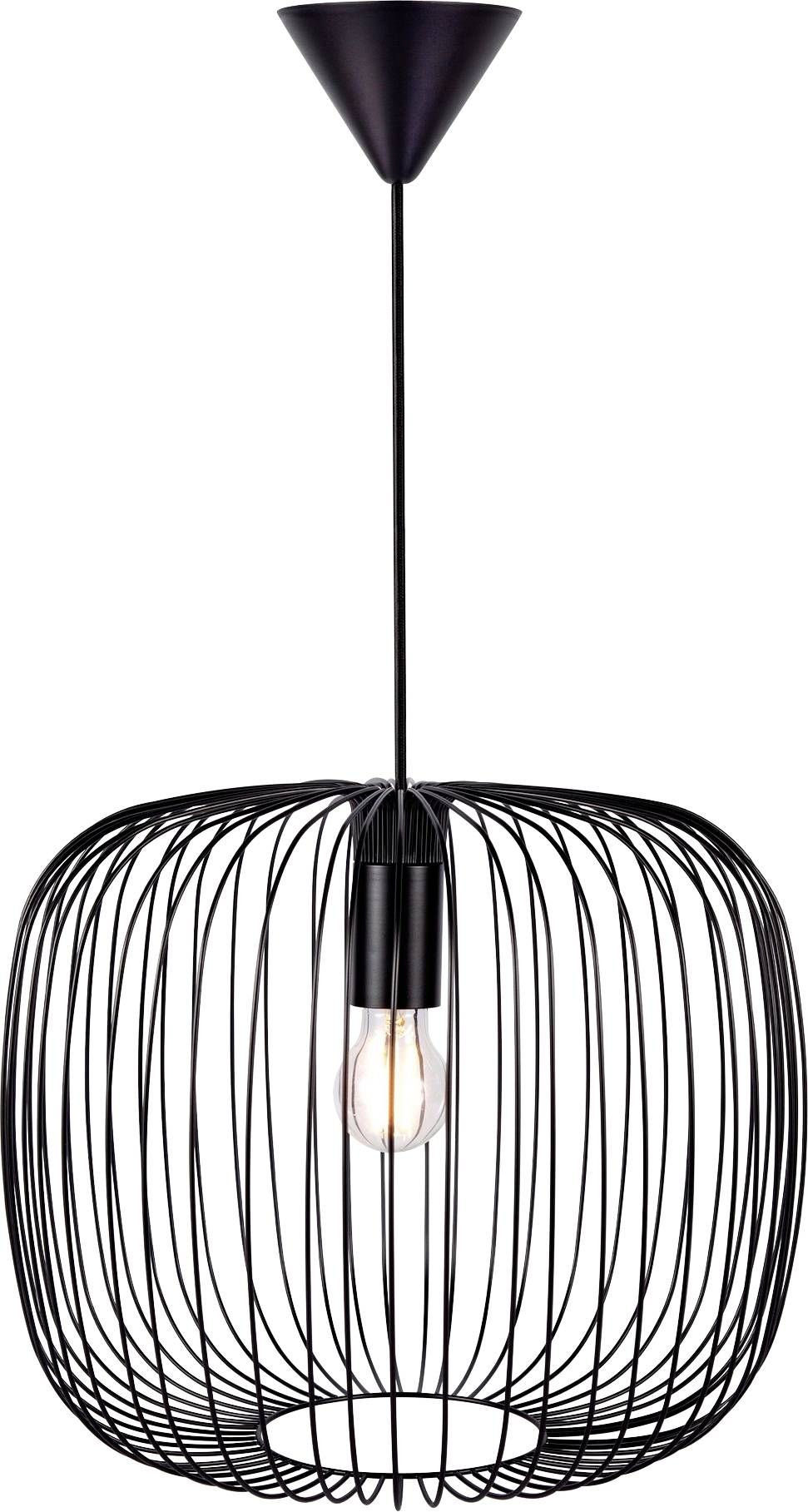 Ein schwarzes Drahtgestell-Pendelleuchte mit einer einfachen Glühbirne hängt von der Decke herab und bietet ein modernes, minimalistisches Design.