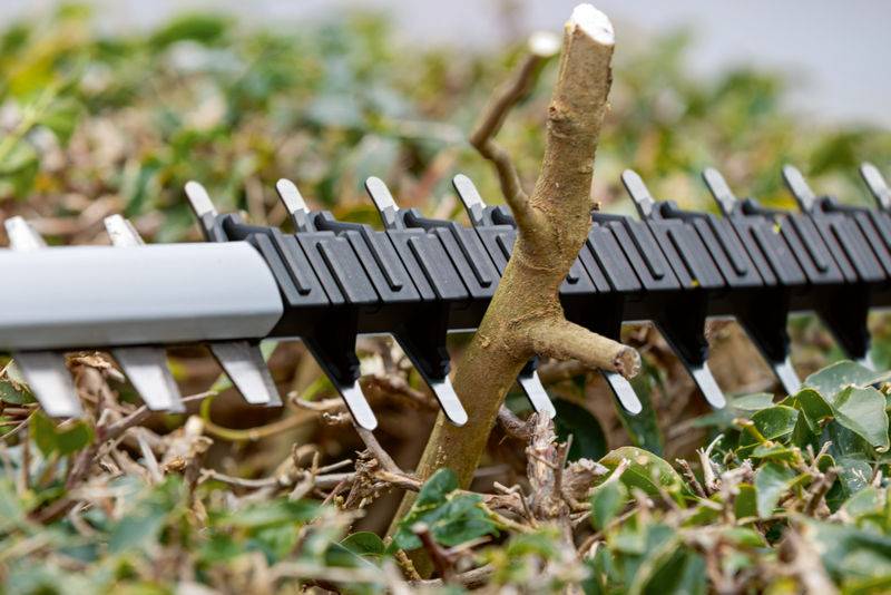 Ein Heckenschneider schneidet einen Ast, umgeben von Grünflächen, wobei die Klingen und Funktionalität des Werkzeugs bei der Gartenpflege demonstriert werden.