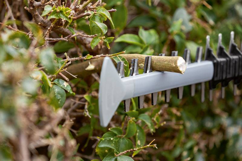 Eine Heckenschere schneidet durch einen Ast, der von grünen Blättern umgeben ist. Der Fokus liegt auf der Klinge und hebt die Schneidemaßnahme hervor.