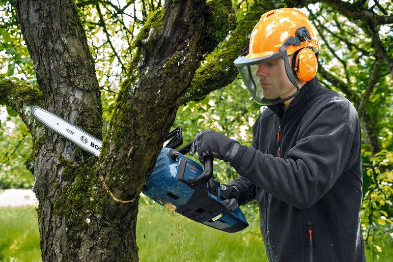 Eine Person in Schutzausrüstung verwendet eine Kettensäge, um einen dicken Ast von einem Baum in einer üppigen, grünen Gartenumgebung abzuschneiden.