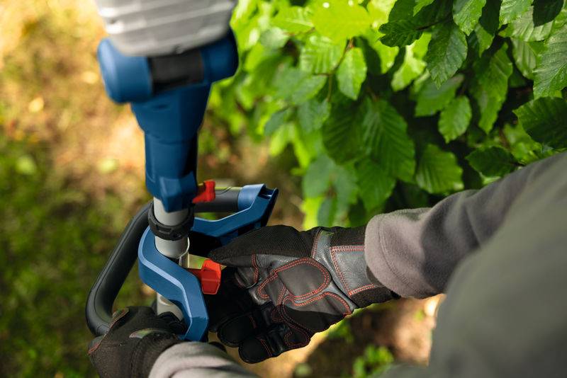 Eine Person, die Handschuhe trägt, verwendet eine blaue Kettensäge, um grüne, belaubte Äste im Freien zu trimmen.