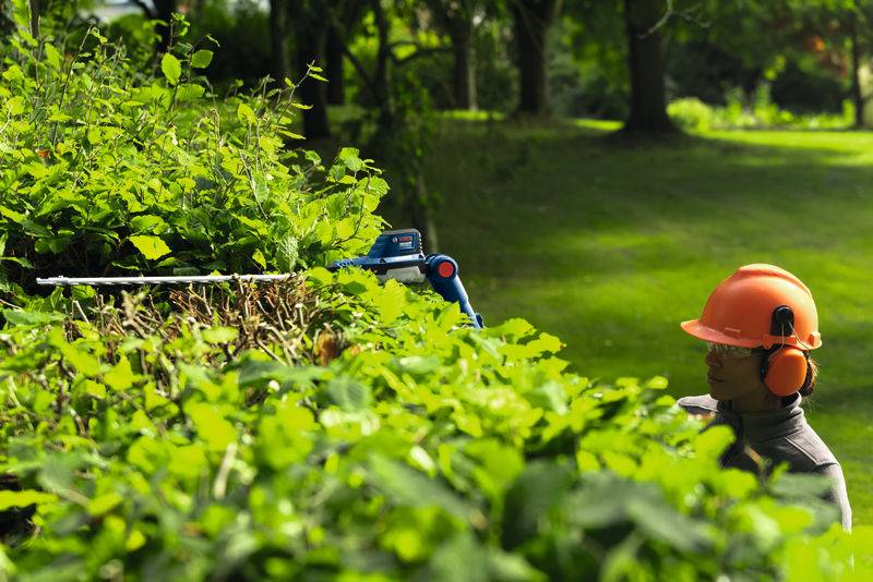 Eine Person in Schutzausrüstung schneidet eine hohe, dichte Hecke mit einer elektrischen Heckenschere in einem üppigen, grünen Garten.