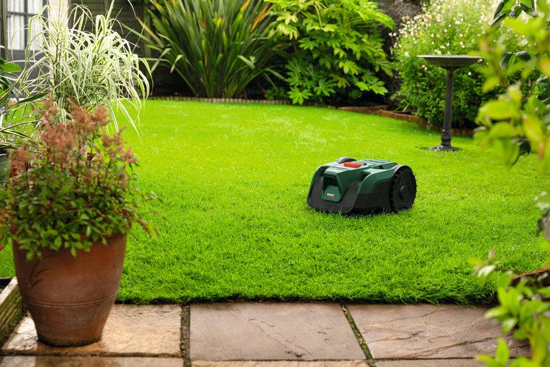 Ein Roboterrasenmäher bewegt sich über einen grünen, gepflegten Rasen, der von üppigen Pflanzen und einem Steinweg in einer Gartenanlage umgeben ist.