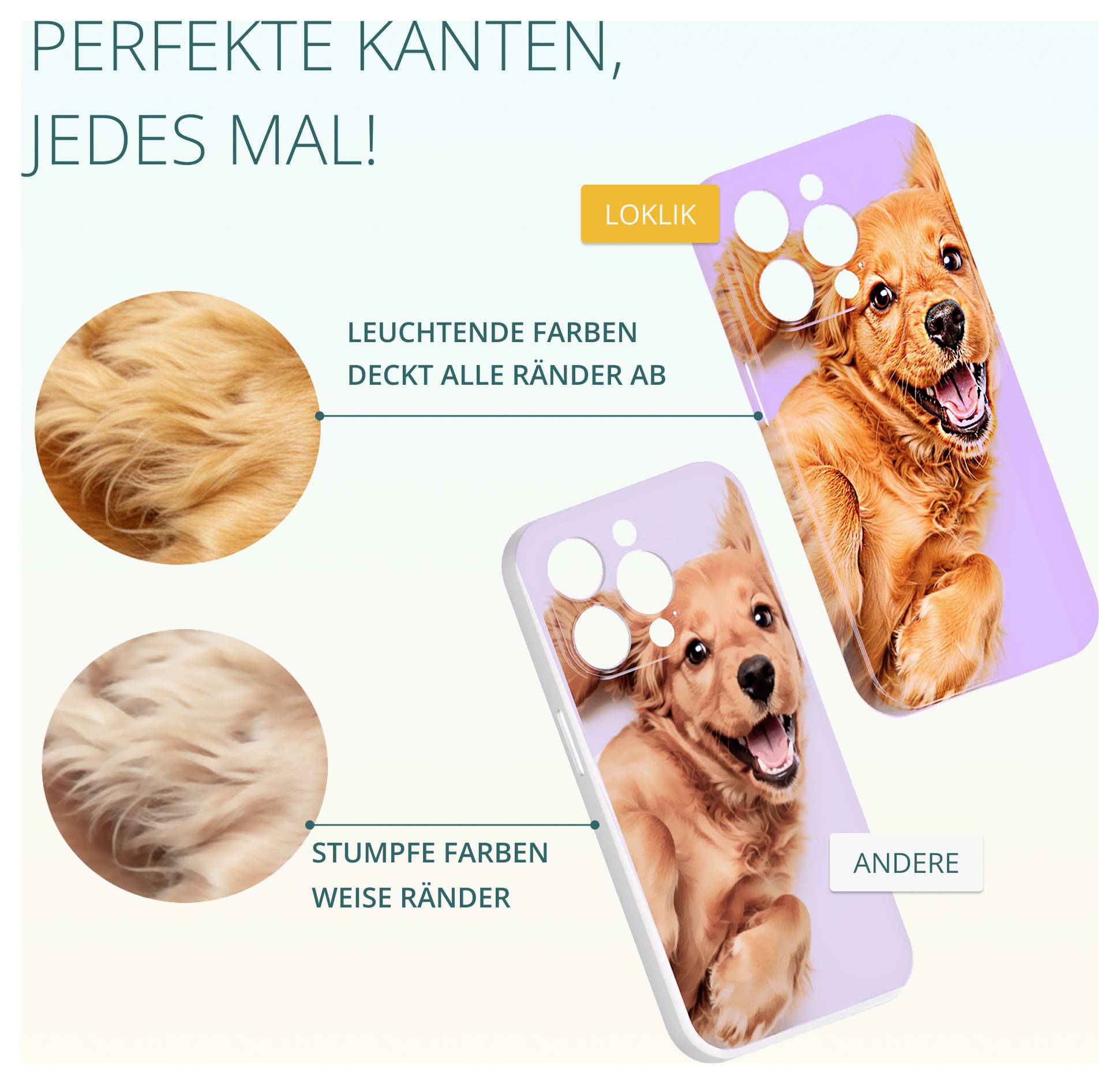 Das Bild zeigt einen Hund auf zwei Smartphone-Hüllen. Die „LOKLIK