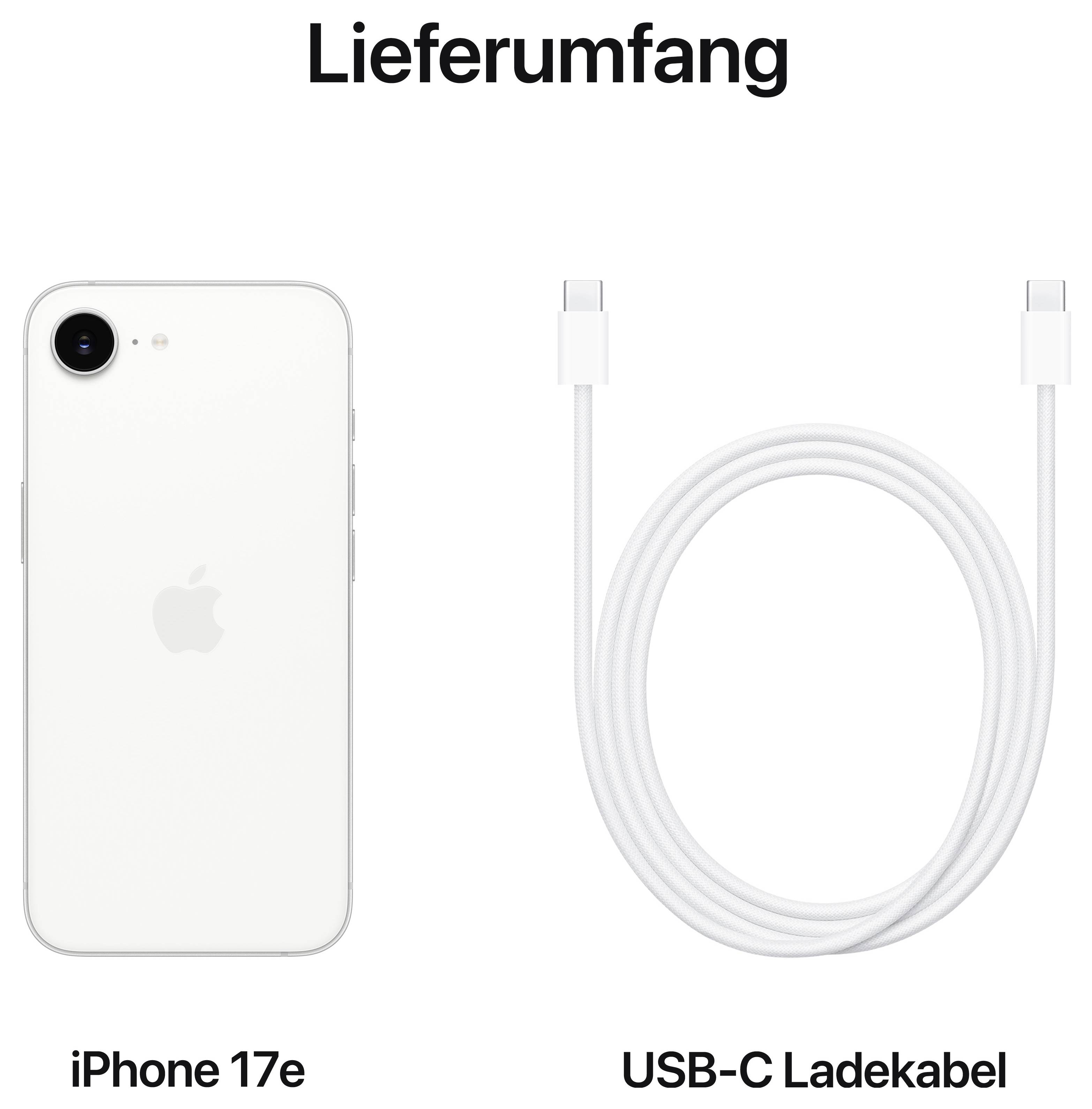 Rosa iPhone-Schutzhülle Verpackung mit der Bezeichnung „ICON® MAG PRO für iPhone 16 Pro Max