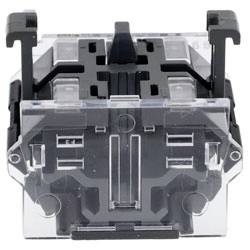 Eao 704.910.2 Schaltereinsatz 1St.