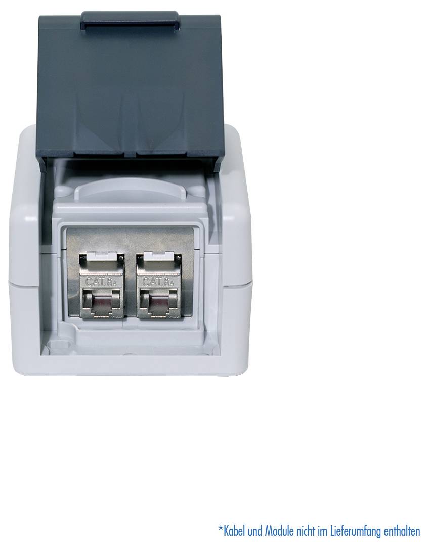 Wandmontierte Netzwerkdose mit zwei Ethernet-Anschlüssen unter einer Klappenabdeckung, dargestellt vor weißem Hintergrund.