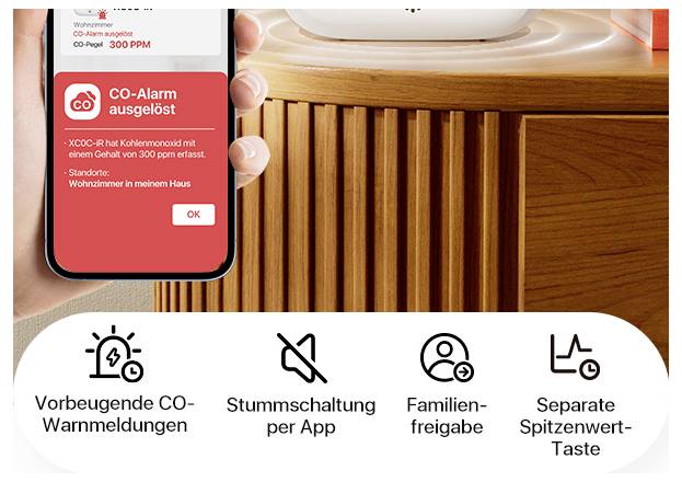 Ein CO-Alarm wird auf einem Display angezeigt, mit Funktionen darunter: präventive CO-Warnmeldungen, Stummschaltung, Familienfreigabe, separate Spitzentaste.