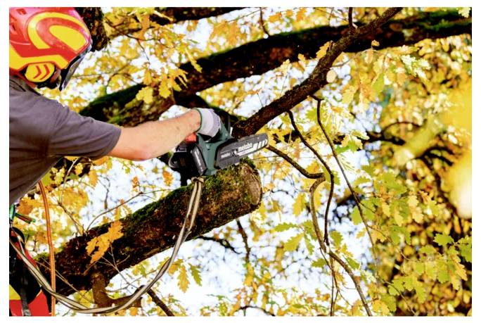 Arbeiter mit Schutzhelm benutzt eine Kettensäge, um einen großen Baumast inmitten von Herbstblättern zu schneiden.