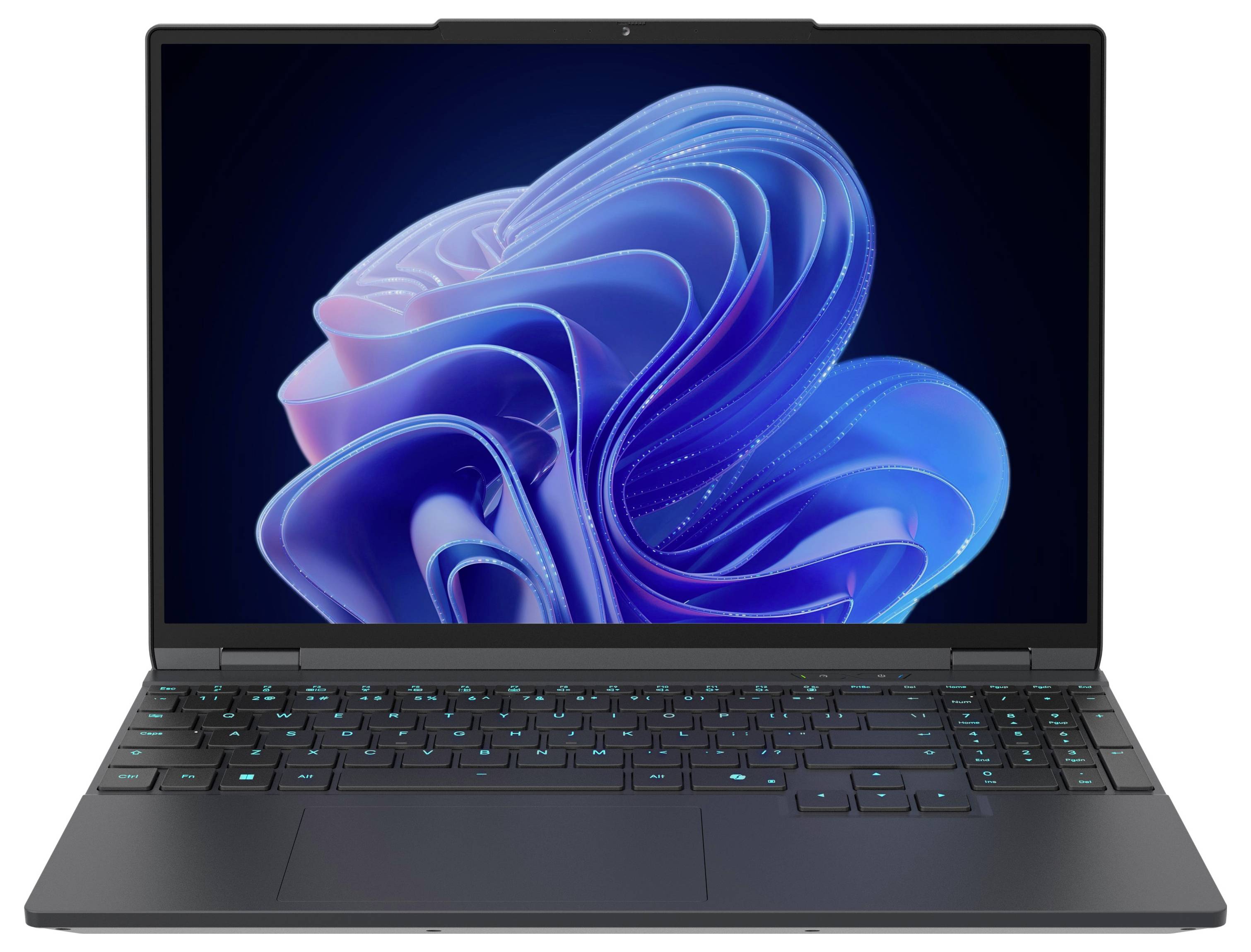 Captiva Gaming Notebook Advanced Gaming I94-411 38.9cm (15.3 Zoll) WQXGA AMD Ryzen 7 255 16GB RAM 1TB SSD Deutsch, QWERTZ AMD AMD