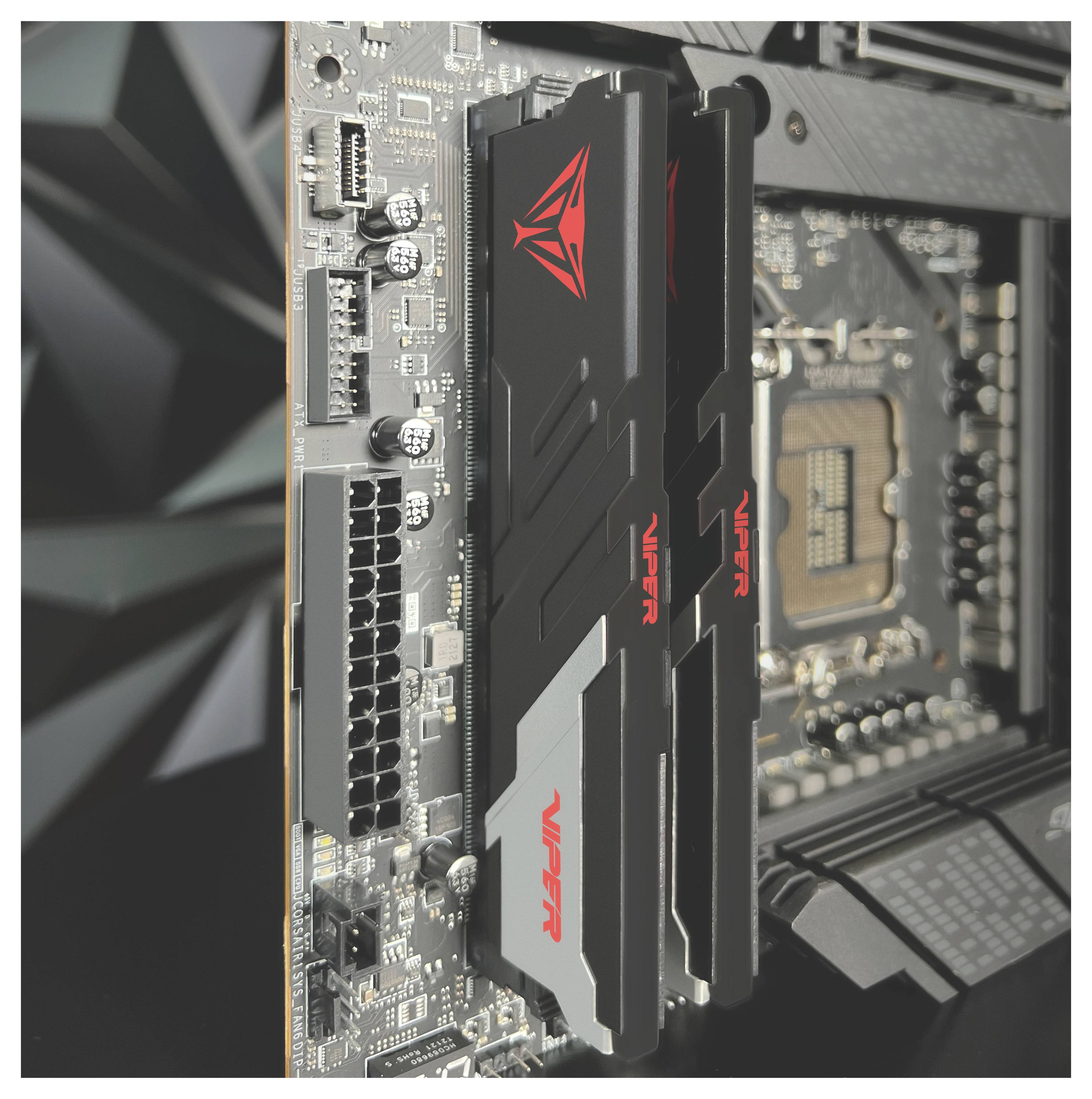 Patriot Memory Viper Venom PVV564G600C36K memory module Arbeitsspeicher