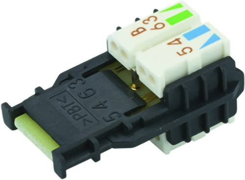 Close-up of a black Ethernet cable connector plug with color-coded wire slots on top.