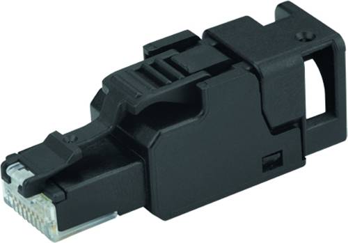 Schwarzes Ethernet-Kabelverbindungsstecker mit transparenten Kontakten, vergrößert auf weißem Hintergrund dargestellt.