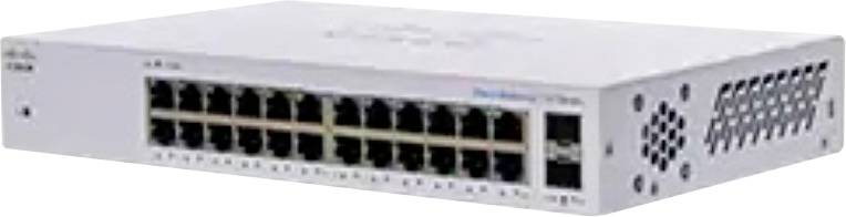 Ein Netzwerk-Switch mit 24 Ethernet-Anschlüssen.