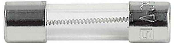 Eine Glassicherung mit Metallkappen, einem sichtbaren Glühdraht im Inneren und gekennzeichnet mit Spannungs- und Stromstärkevorgaben auf dem Metallende.