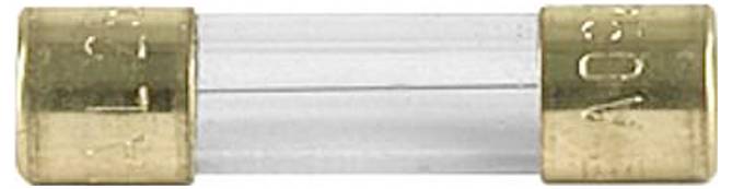 Ein Nahaufnahmebild einer Glassicherung mit Metallkappen an jedem Ende, typischerweise zum Schutz von Stromkreisen vor Überlastung verwendet.