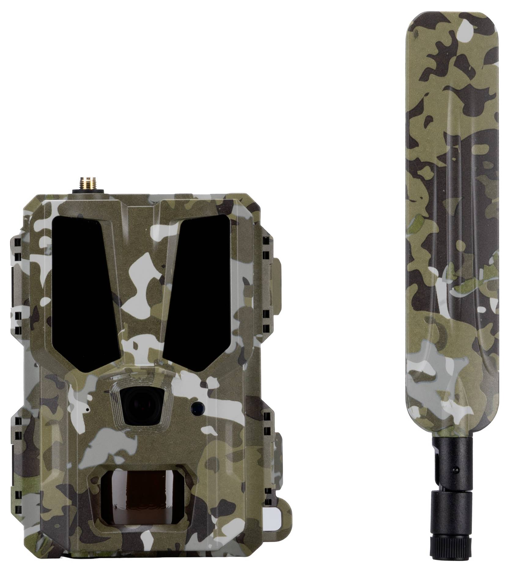 Getarnte Wildkamera neben einer passend getarnten Antenne, die zur diskreten Überwachung und Beobachtung von Tieren in natürlichen Lebensräumen verwendet wird.