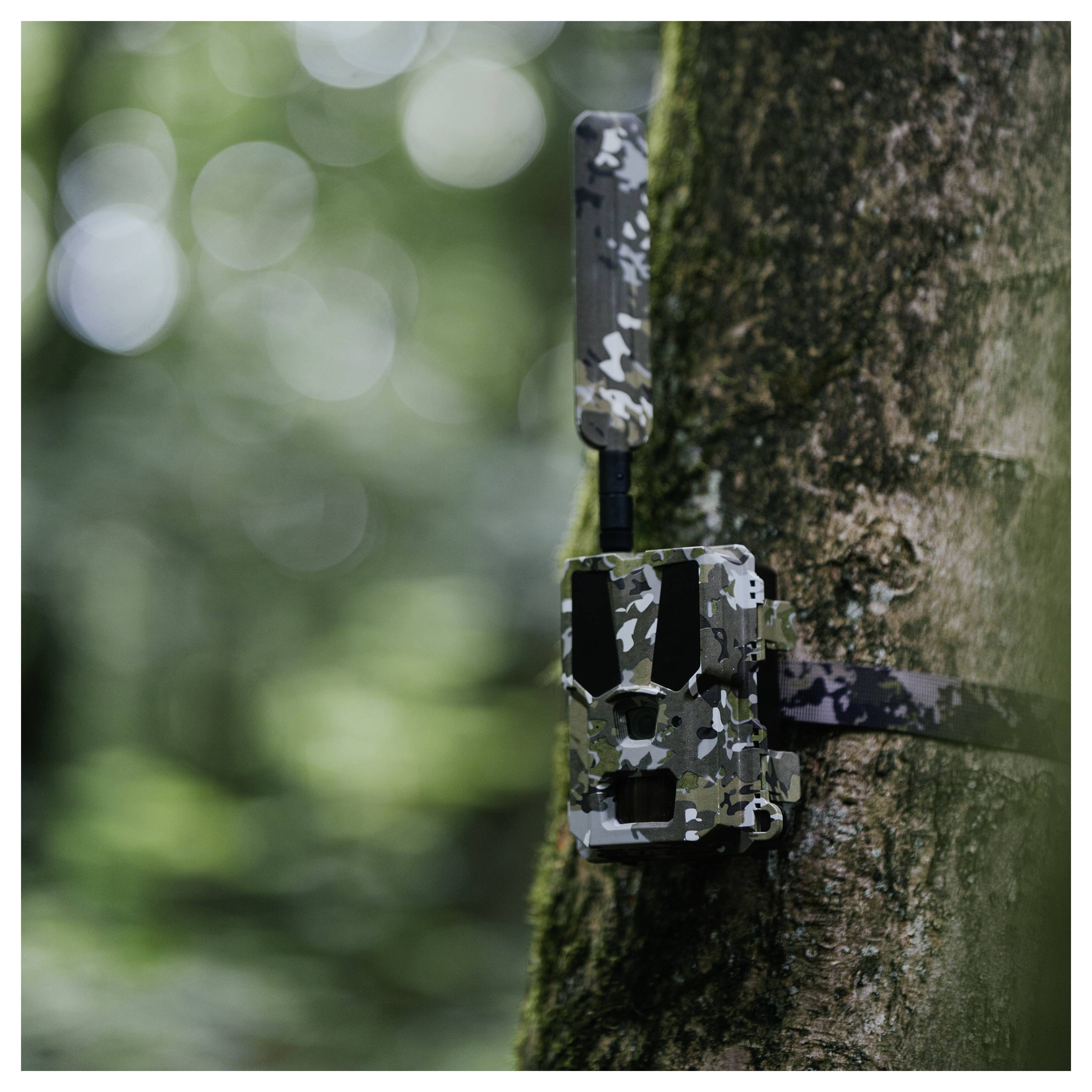 Eine getarnte Wildkamera ist an einem Baum im Wald befestigt, wahrscheinlich zur Überwachung von Wildtieren. Der Hintergrund zeigt unscharfes Laubwerk.