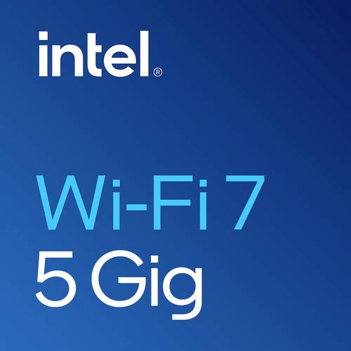 Intel WI-FI 7 BE200 2230 2x2 BE+BT vPro Netzwerkkarte