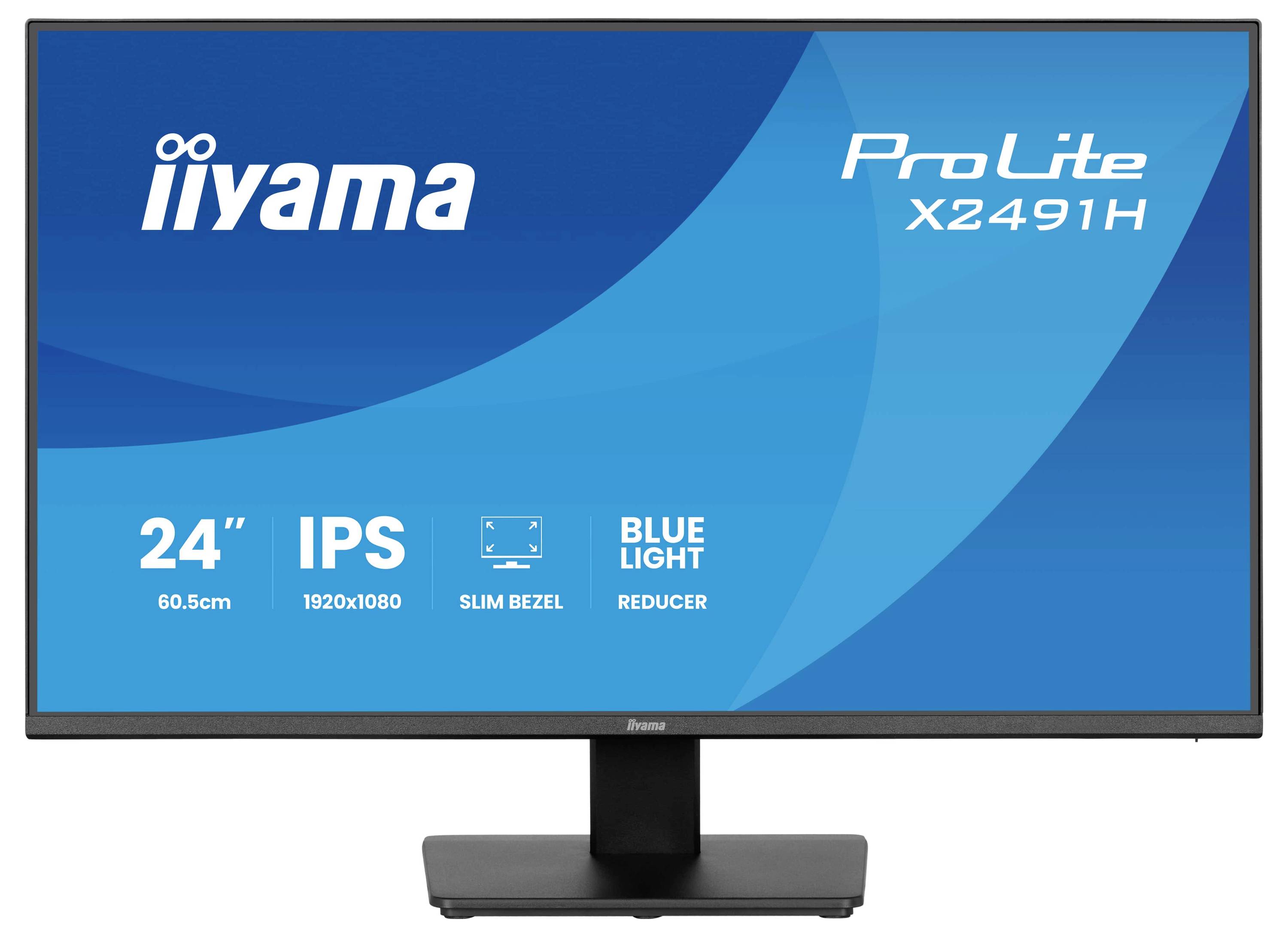 Monitordisplay mit Branding und Modell „iiyama ProLite X2491H