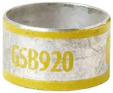 Ein silberner und gelber Metallring mit den eingravierten Buchstaben 'GSB920'.