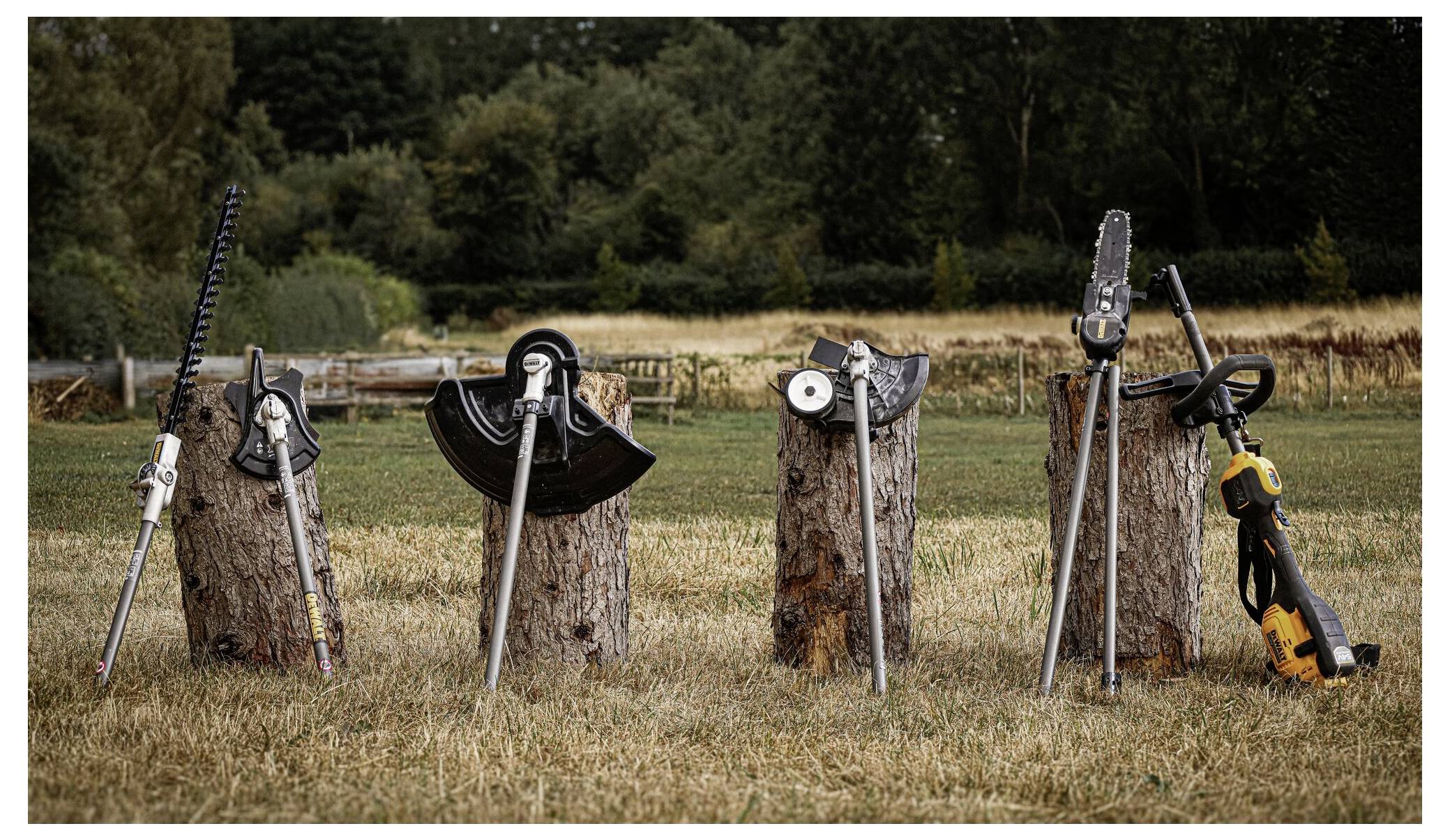 Gartengeräte, darunter eine Heckenschere und eine Kettensäge, ruhen auf Baumstümpfen in einem grasbewachsenen Feld, mit einem bewaldeten Gebiet im Hintergrund.
