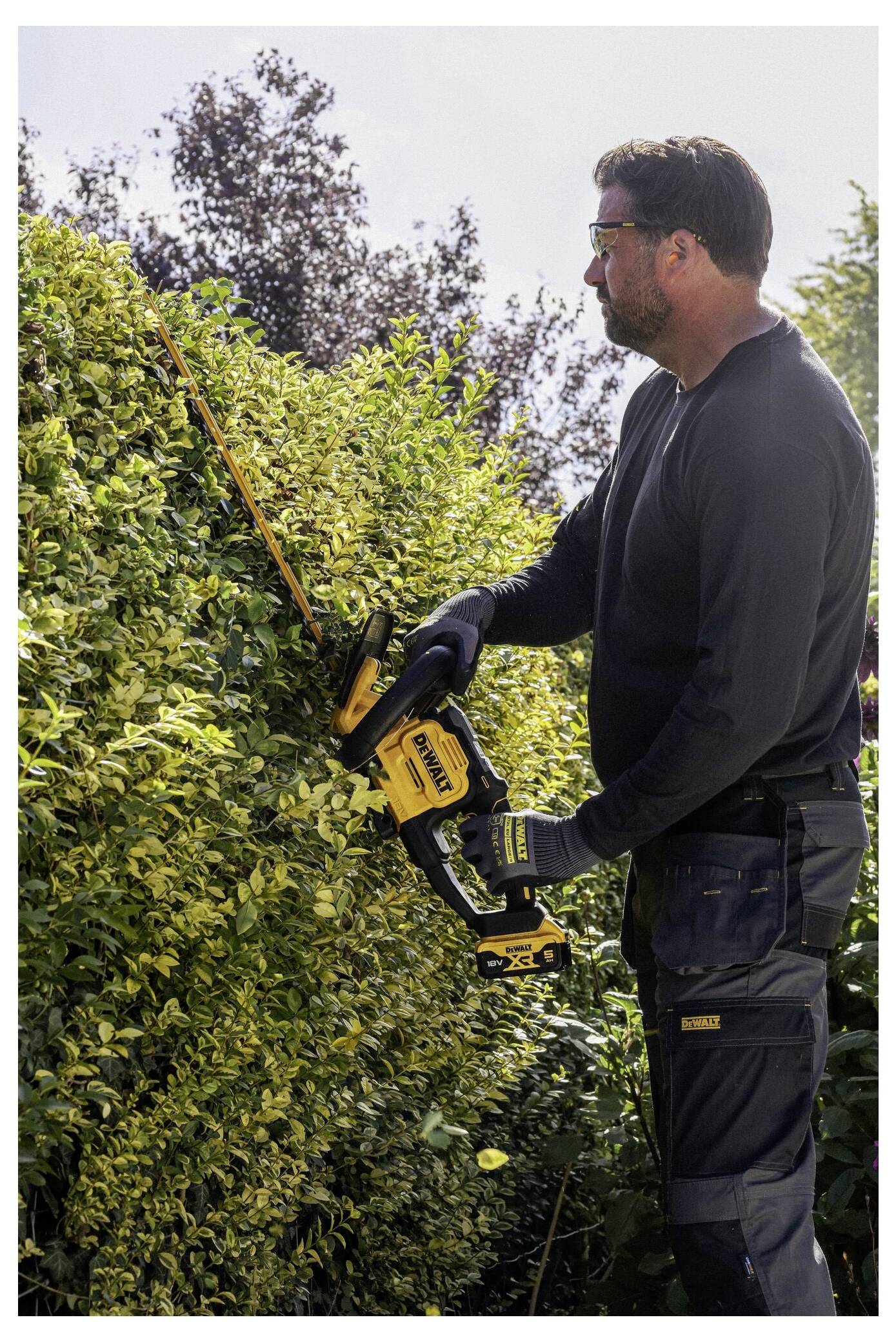 Eine Person benutzt eine gelb-schwarze kabellose Heckenschere, um eine hohe Hecke zu schneiden, dabei trägt sie eine Schutzbrille und Handschuhe.