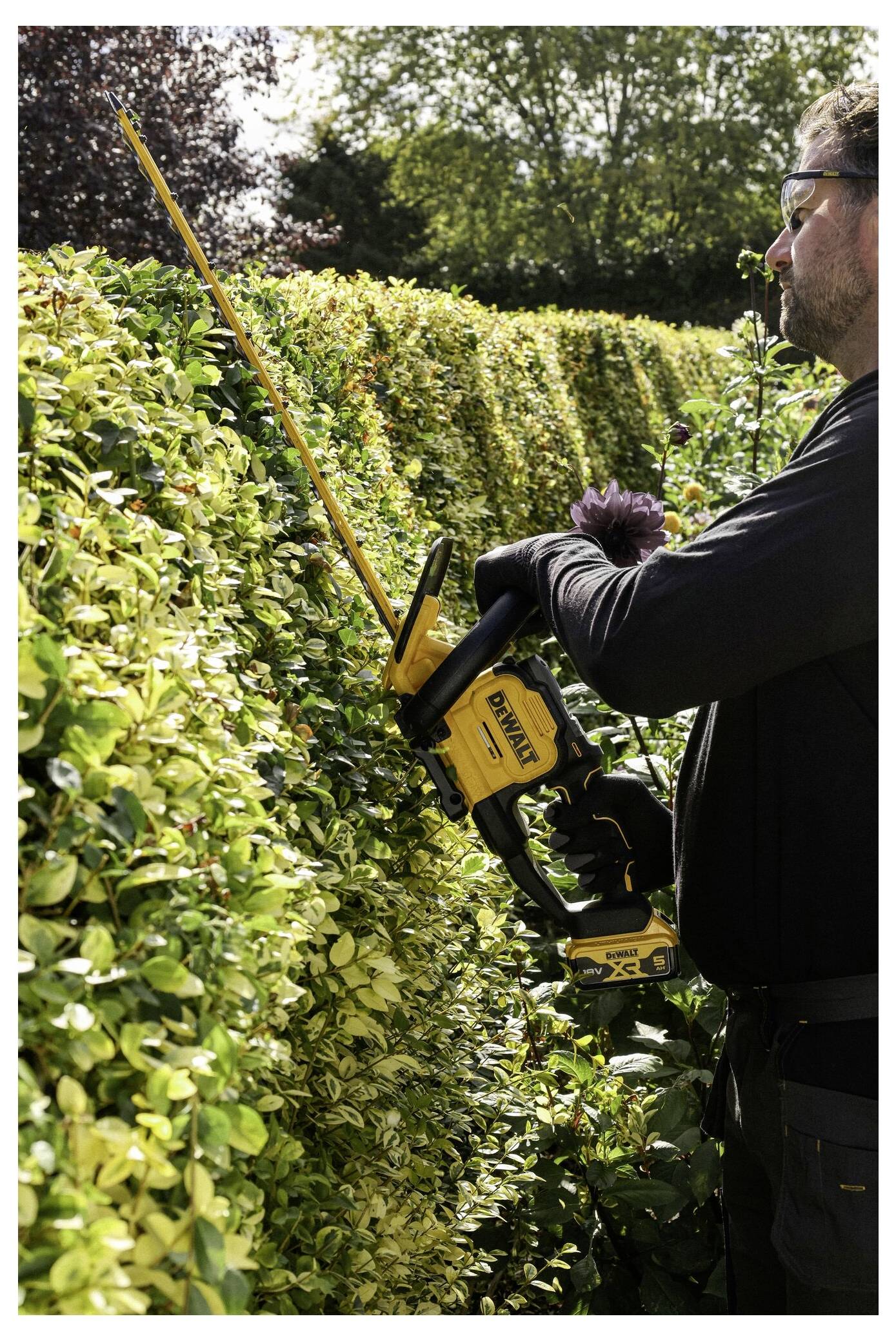 Eine Person benutzt eine gelbe Heckenschere, um eine hohe, dichte grüne Hecke zu schneiden, was auf Garten- oder Landschaftspflegearbeiten an einem sonnigen Tag hindeutet.
