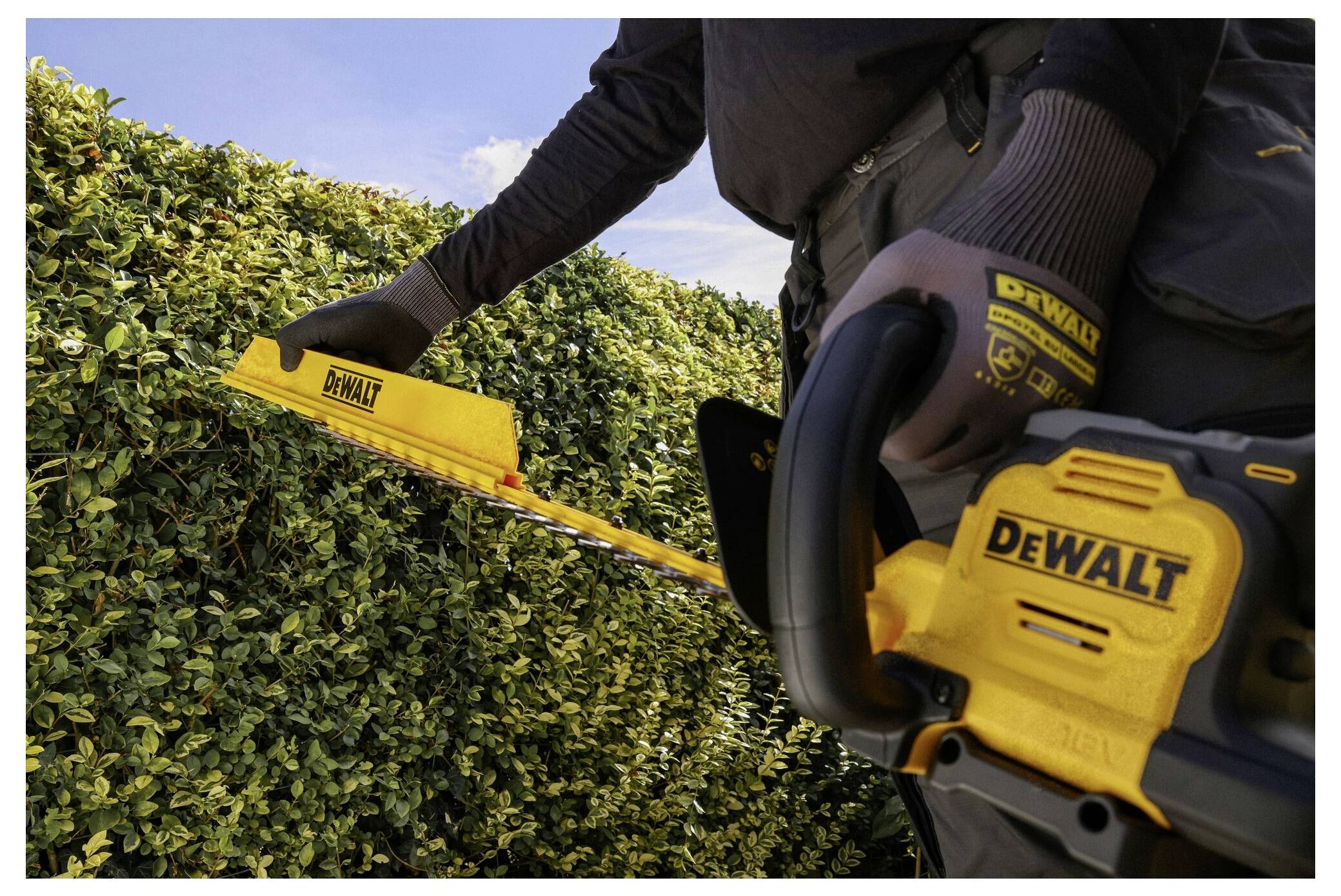 Eine Person verwendet einen gelben DEWALT-Heckenschneider zum Trimmen einer Hecke, trägt Handschuhe und hat einen sichtbaren Himmel im Hintergrund.
