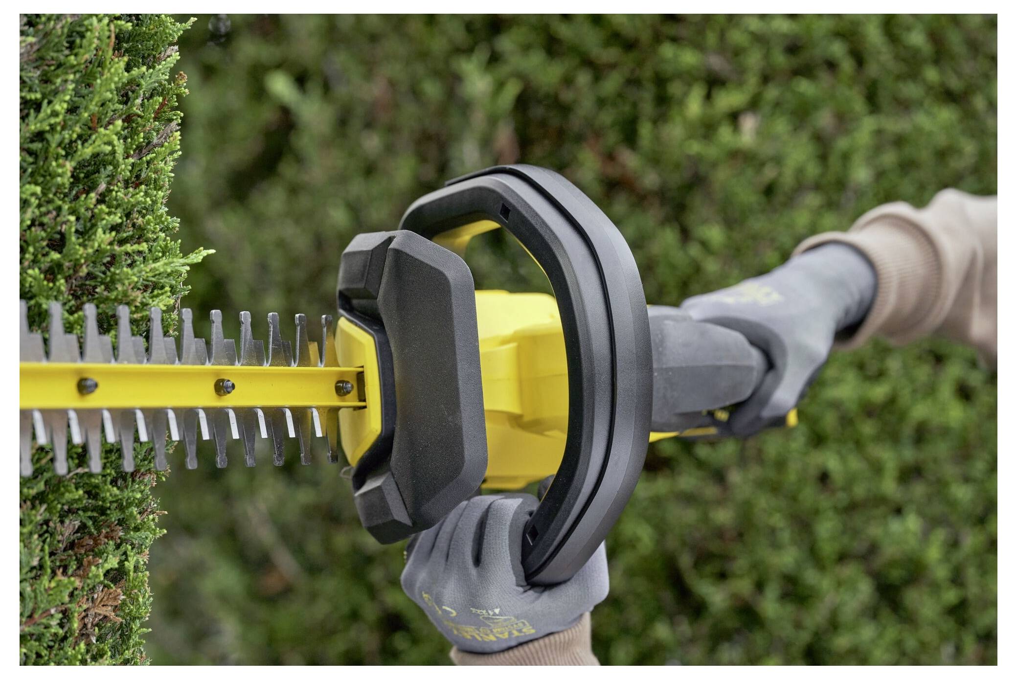 Eine Person schneidet eine Hecke mit einer gelb-schwarzen elektrischen Heckenschere, wobei sie graue Handschuhe zu ihrer Sicherheit trägt.